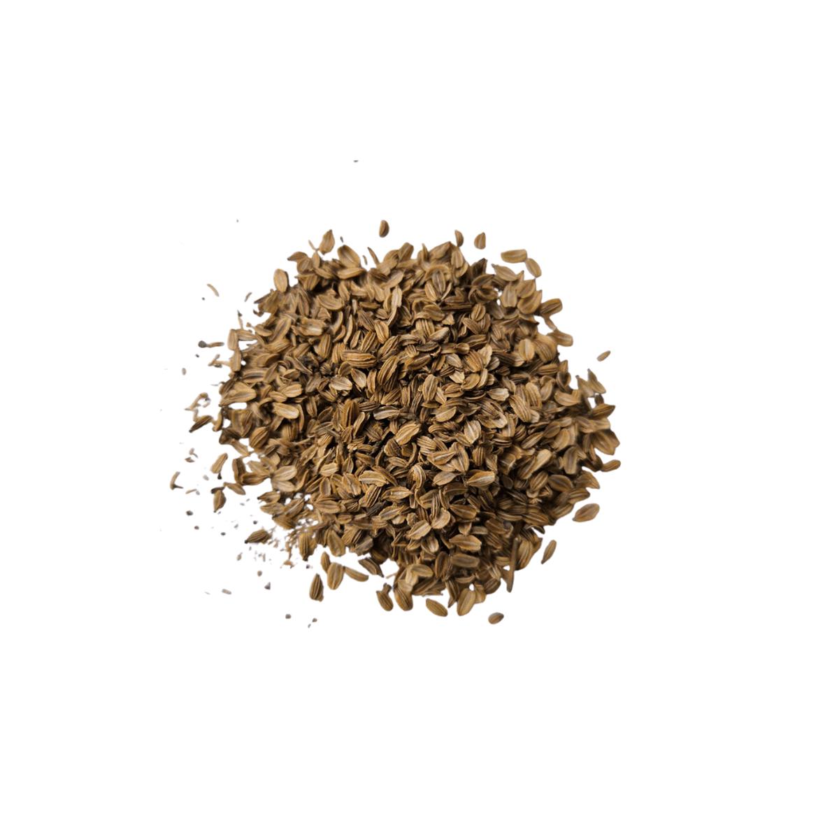 Lovage Seeds | OSC Seeds