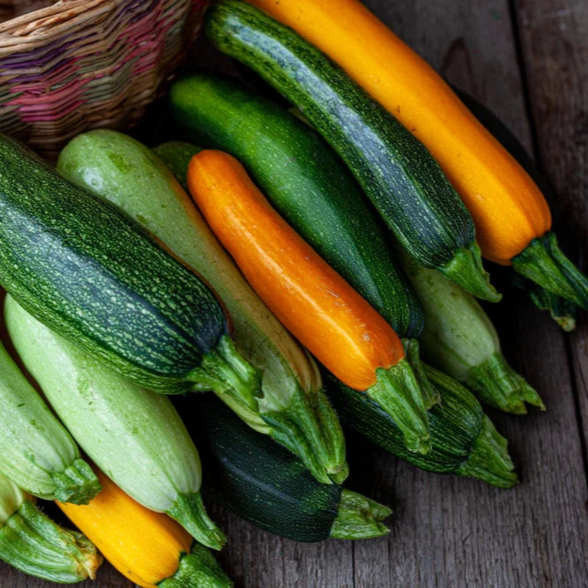 Zucchini Seeds Summer Squash Garden Variety