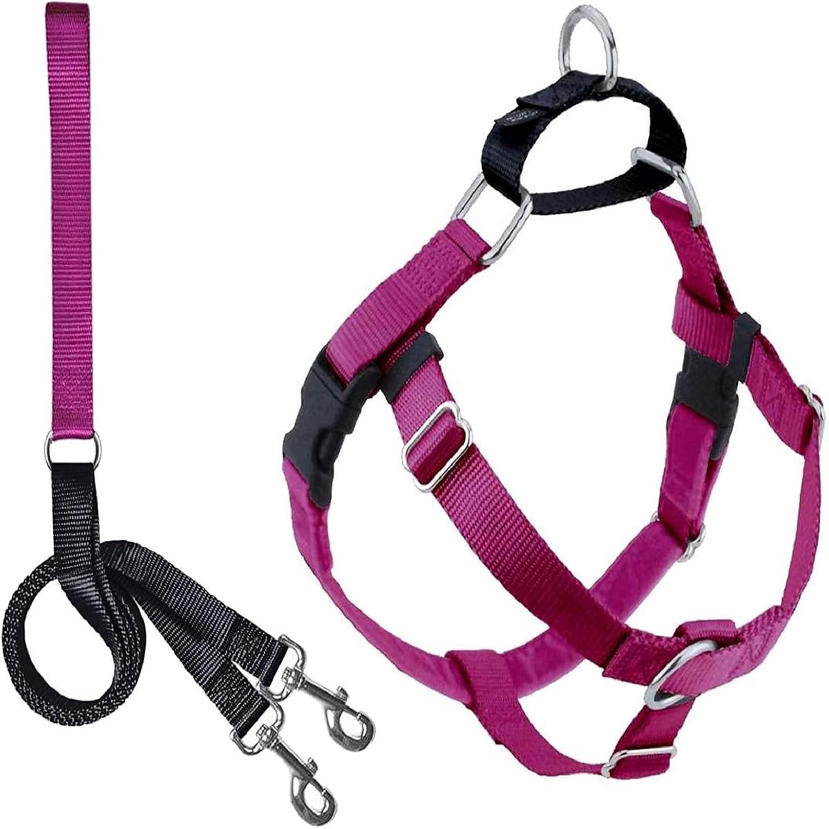 2 Hounds Design Freedom No Pull Dog Harness and Leash Set | Comfortable Control for Easy Walking | Small, Medium & Large Dogs | 5/8