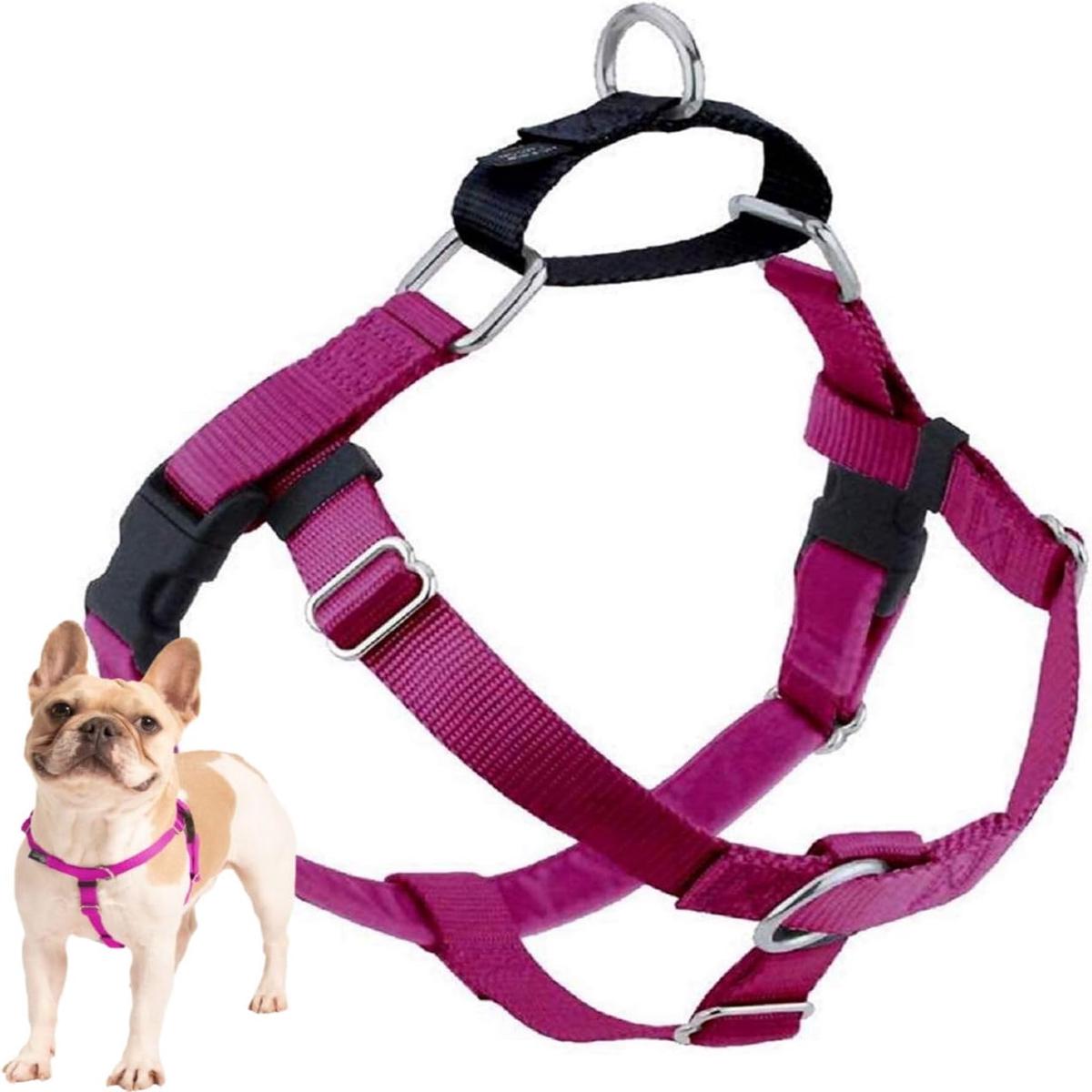 2 Hounds Design Freedom No-Pull Dog Harness - Adjustable Pet Harness dogs - Made in USA (1