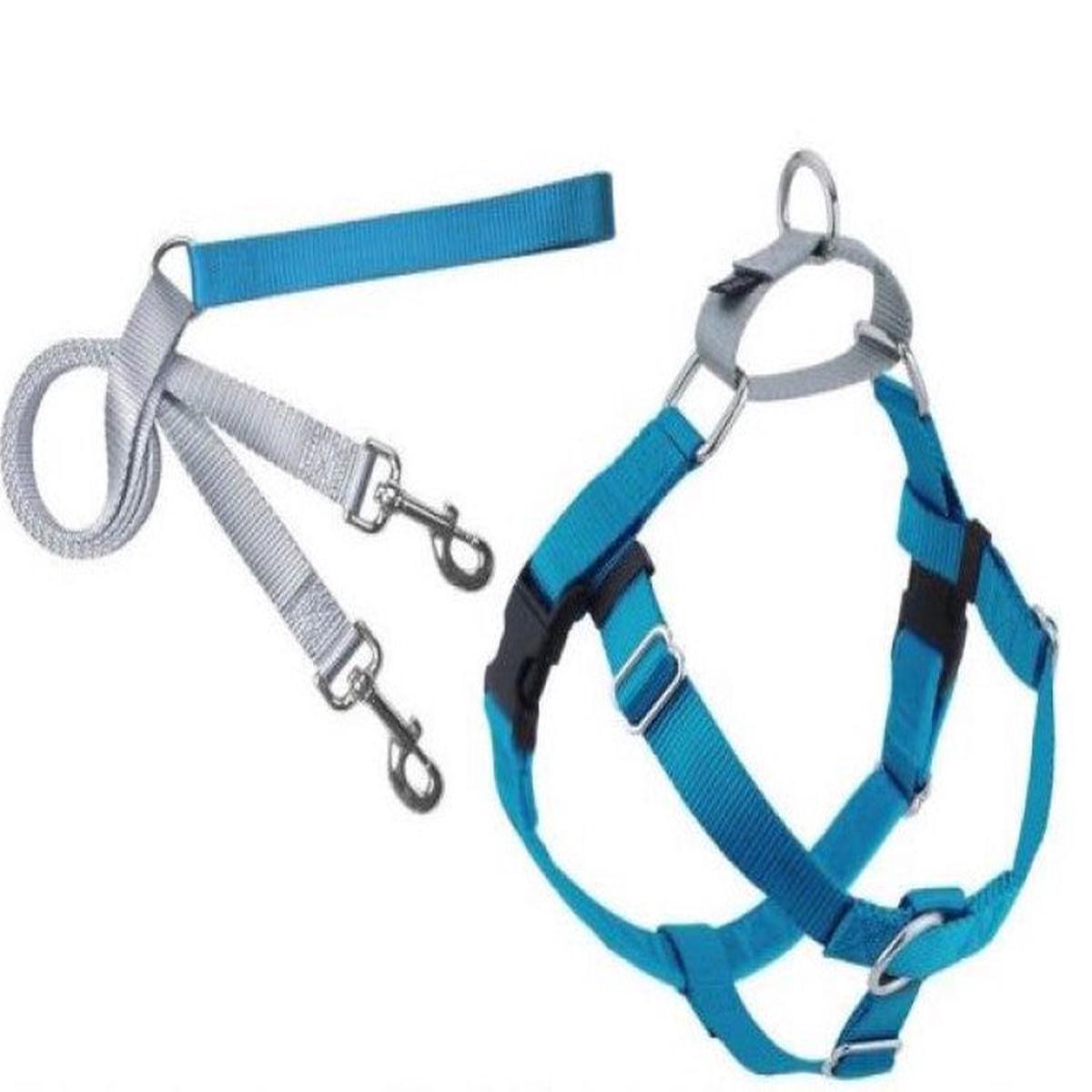 2 Hounds : Freedom No-Pull Harness and Leash - Turquoise / Medium 1