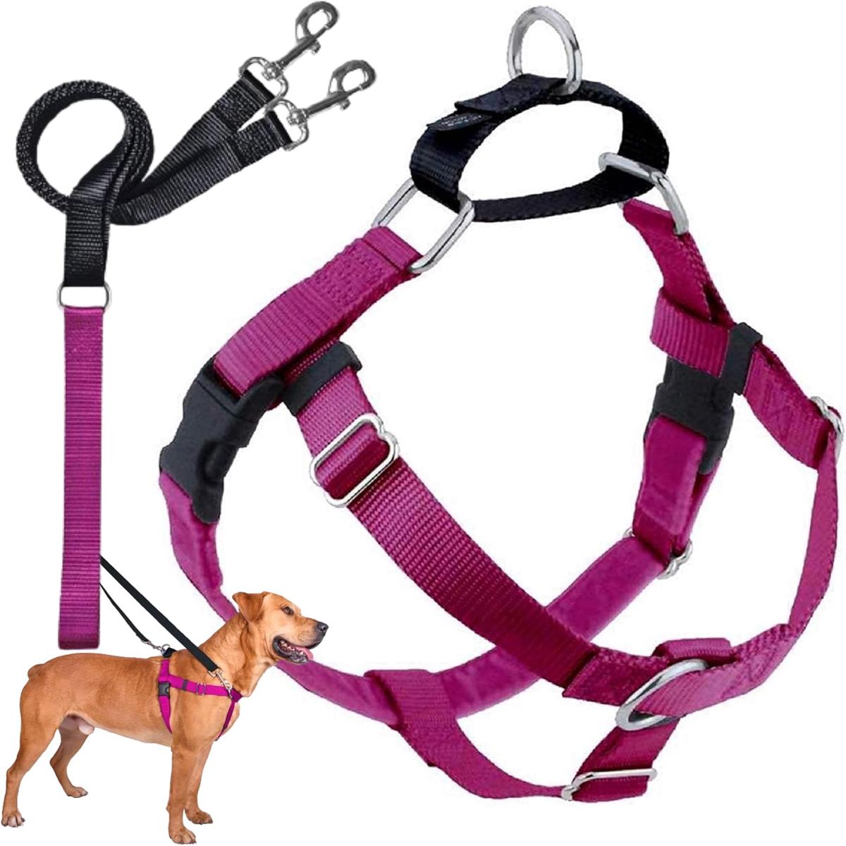 2 Hounds Design Freedom No-Pull Dog Harness and Leash, (XSmall 5/8