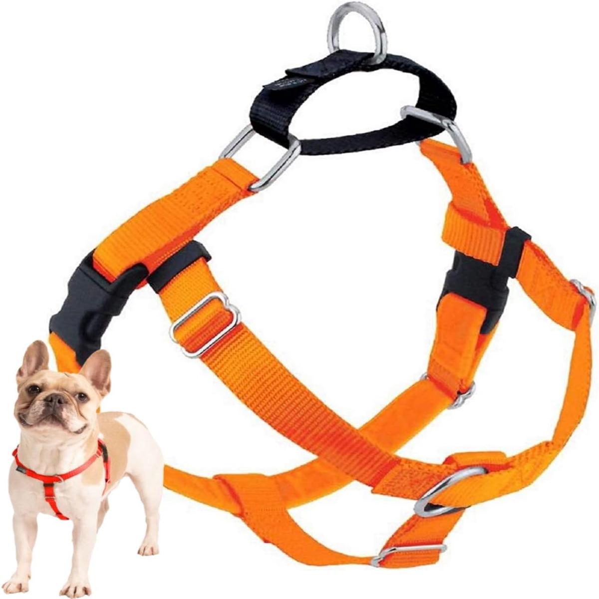 2 Hounds Design Freedom No Pull Dog Harness 1