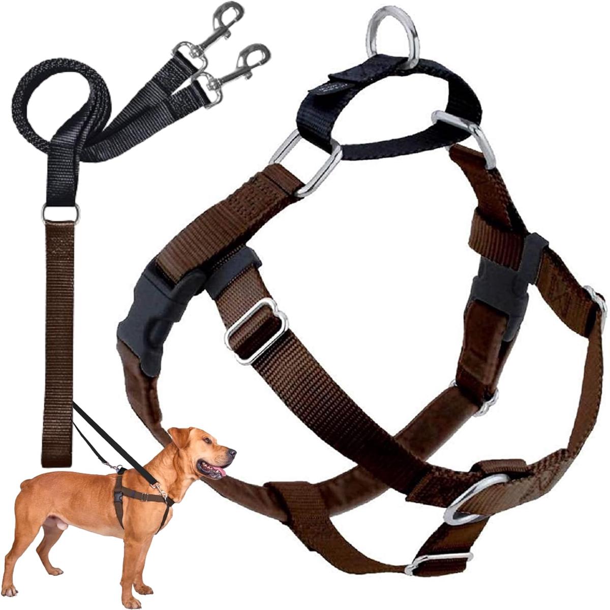 2 Hounds Design Freedom No-Pull Dog Harness Training Package, Medium (1